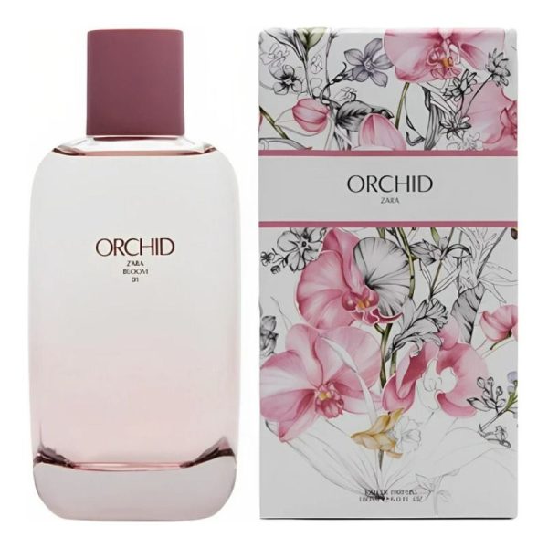 Zara orchid